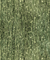 81 Margaux Vine - D (D)